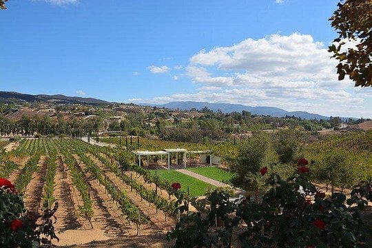 Imagen del tour 6